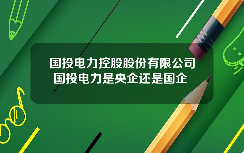 国投电力控股股份有限公司 国投电力是央企还是国企